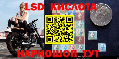 стафф Краснокаменск