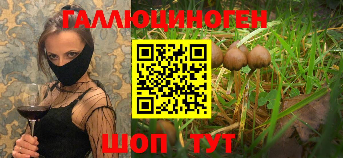Псилоцибиновые грибы Cubensis Тихорецк