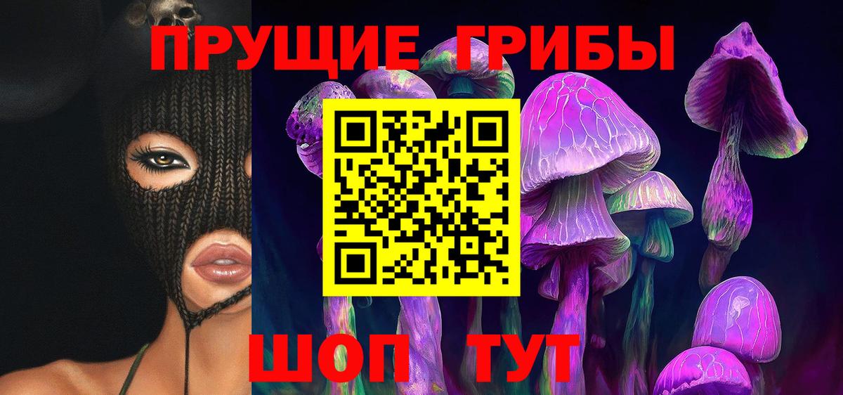 где купить   Псилоцибиновые грибы Cubensis  Вход с VPN  Тихорецк 