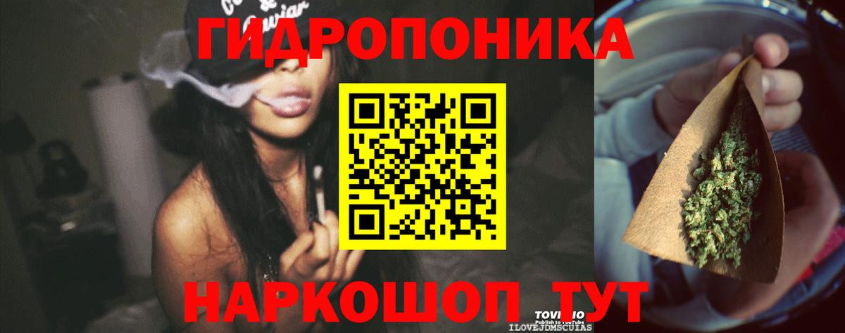 Бошки Шишки сатива  Каннабис ГИДРОПОН  Вход с VPN  Каннабис THC 21%  Тихорецк  Шишки марихуана тримм 
